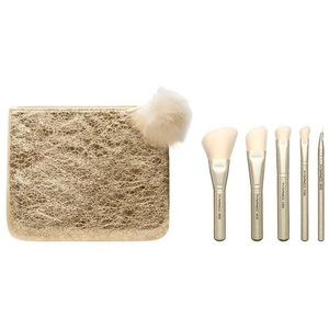 NEW MAC BRUSH SET